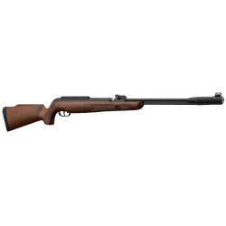 GAMO CFX ROYAL CAL 45 199 JOULES