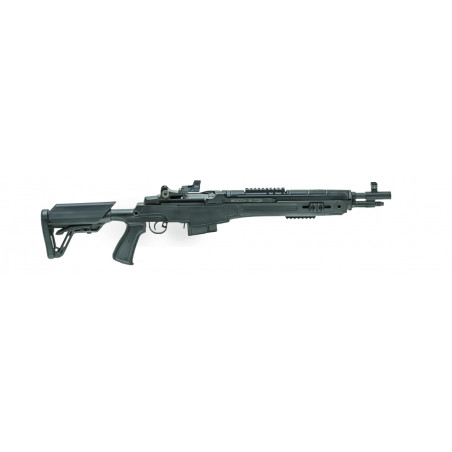 SPRINGFIELD M1A SOCOM 308 16P NOIR DRAGONFLY POINT ROUGE 10 COUPS