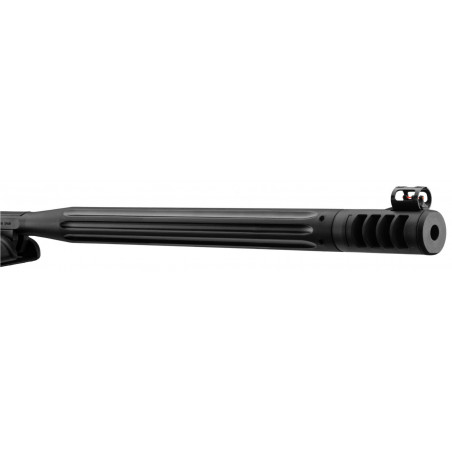 GAMO WHISPER MAXXIM IGT 20J + LUNETTE 4X32